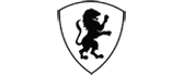Smart IT Firm Logo