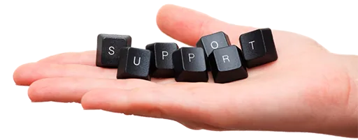 Technical support for business users